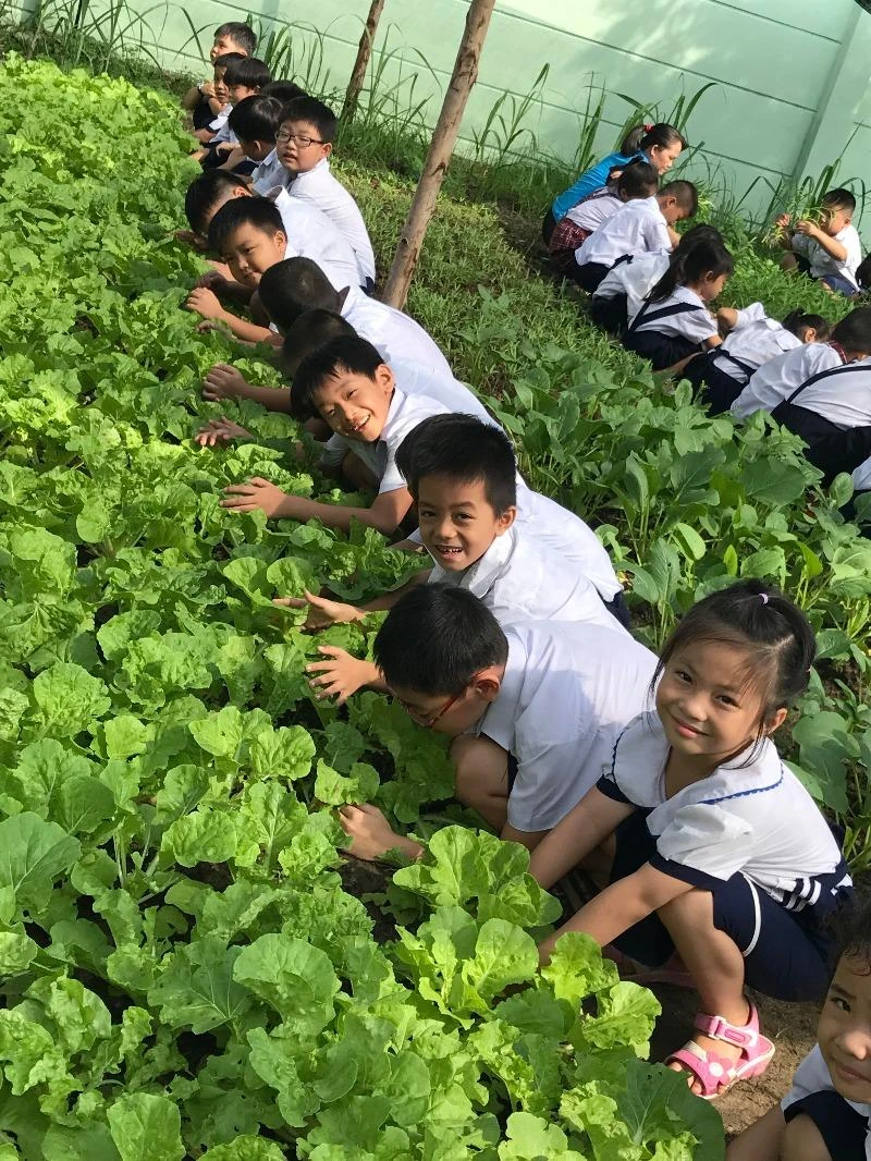 Thích thú bên những luống rau xanh mướt do các em chăm trồng